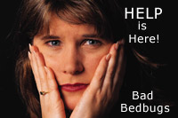 bedbug help bedbug help is here, read on!