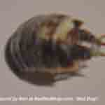 Bug found by Ben