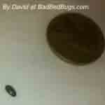 Bug found by David