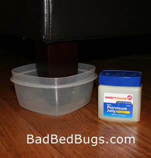 Bed Bug Dust: Diatomaceous Earth (DE) is a Natural Solution You ...