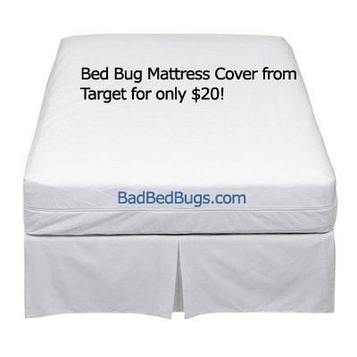 Mattress  on Bedbug Covers Are Great For Protecting Your Mattress For Any Further