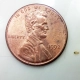 Baby bed bug next to a penny.