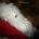 Bedbug crawling on christmas stocking