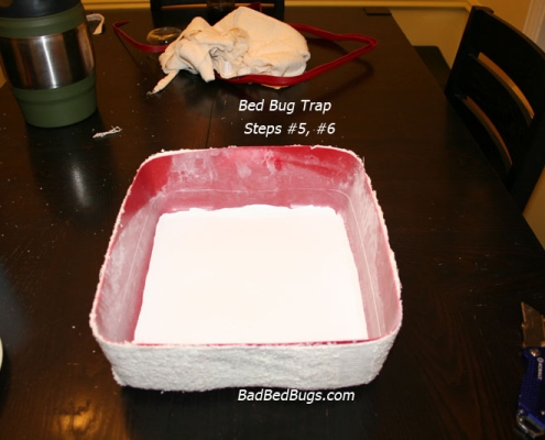 Powder inside bed bug trap