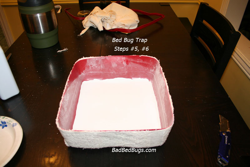 Bed Bug Traps: Make Your Own Detector or Trap for under $10