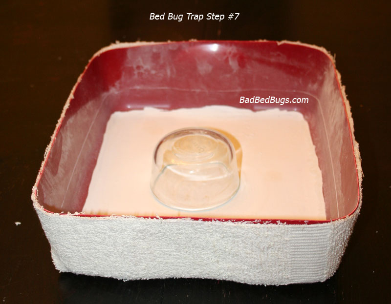 How To Make A Bed Bug Trap