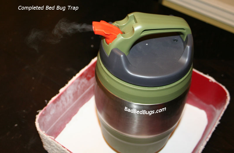 Bed Bug Traps: Make Your Own Detector or Trap for under $10