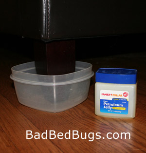 Bed Bug Dust: Diatomaceous Earth (DE) is a Natural