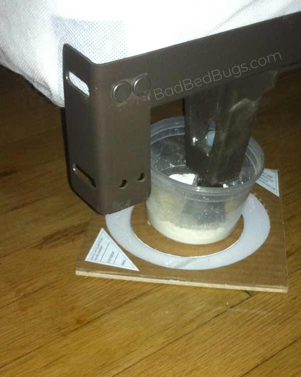 Bed bug powder in climb up protector trap