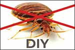 Do It Yourself bedbug elimination success stories