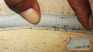 Mattress seam showing bed bugs and their feces.