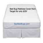 Bed Bug Mattress Cover