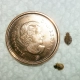 Two bed bugs next to a Canadian coin.