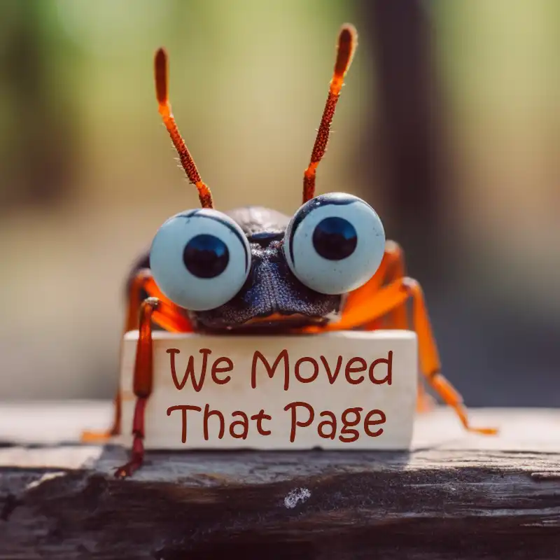 Picture of an exaggerated bed bug holding a sign that we moved the page.